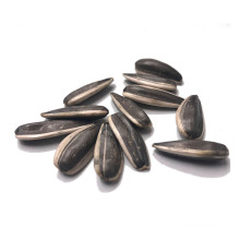 Raw Natural Chinese wholesale sunflower black seeds